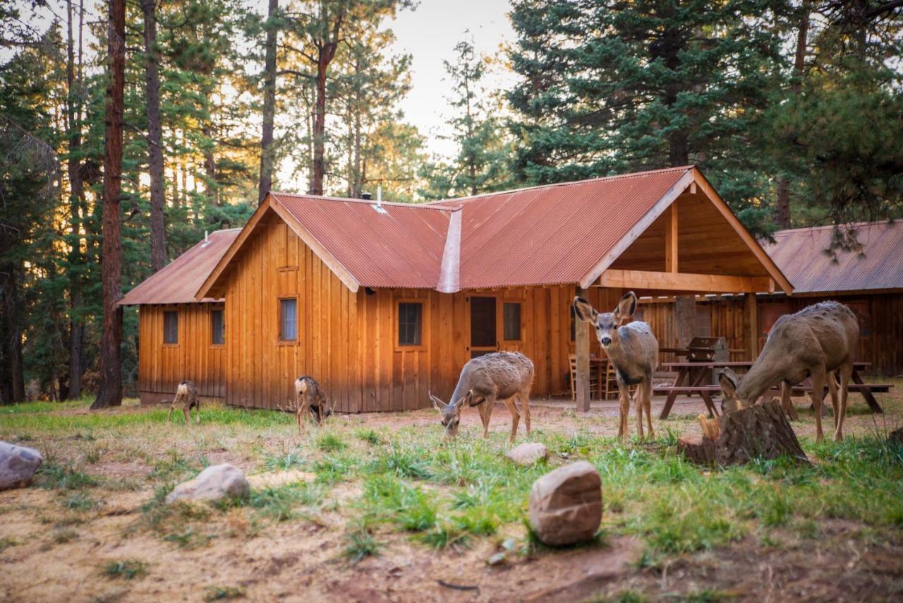 Corkins Lodge Chama Esterno foto